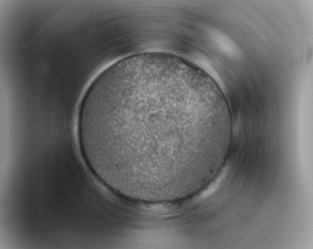 X0000094211149200711091233
