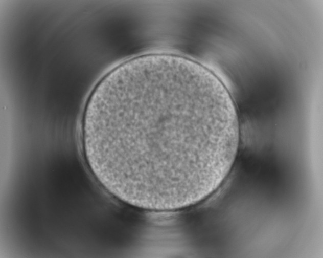 X0000094211150200711091233