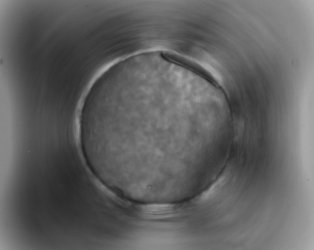 X0000094211151200711091233
