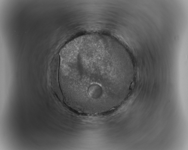 X0000094211153200711091232