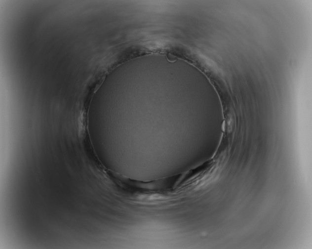 X0000094211156200711091232