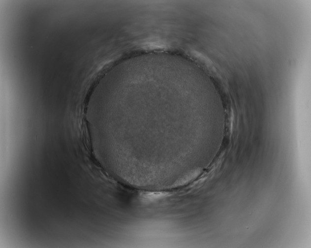 X0000094211157200711091232