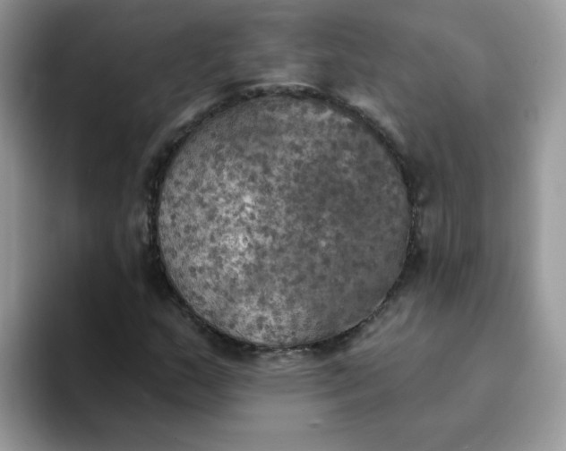 X0000094211159200711091232