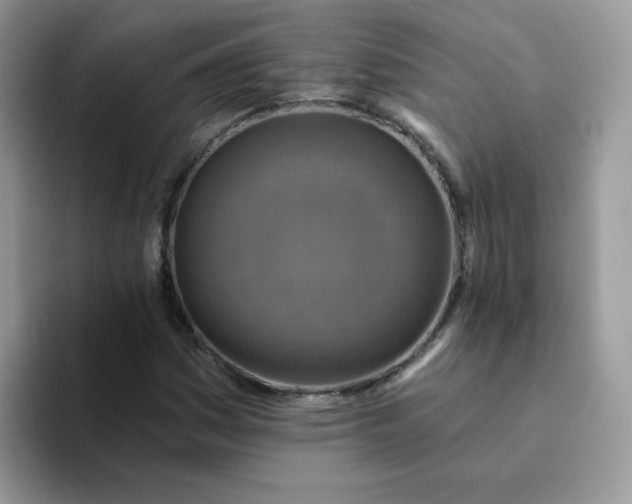 X0000094211161200711091232