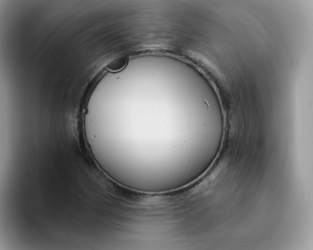 X0000094211162200711091232