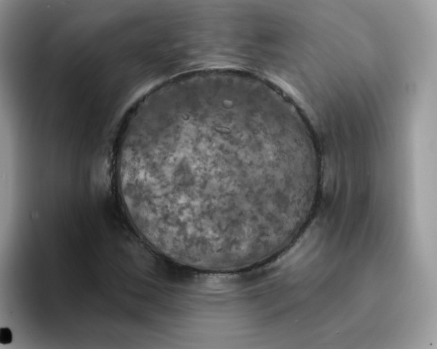 X0000094211163200711091232