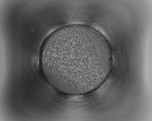 X0000094211165200711091232