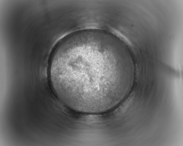 X0000094211166200711091232