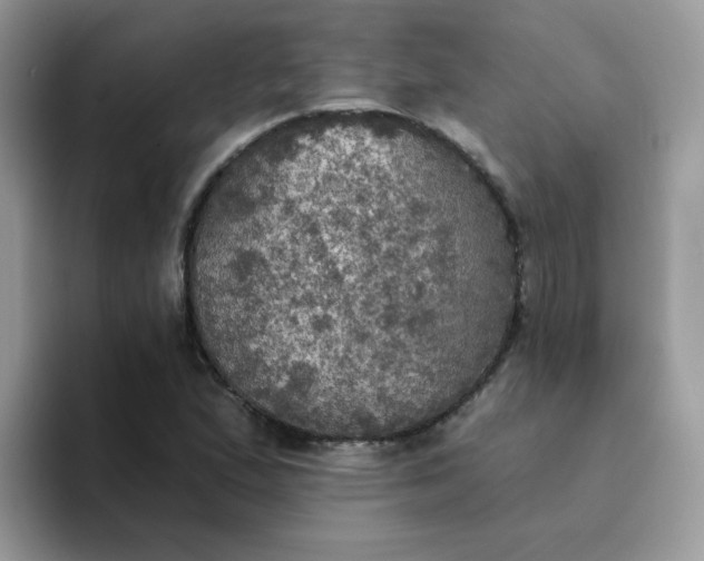 X0000094211167200711091232