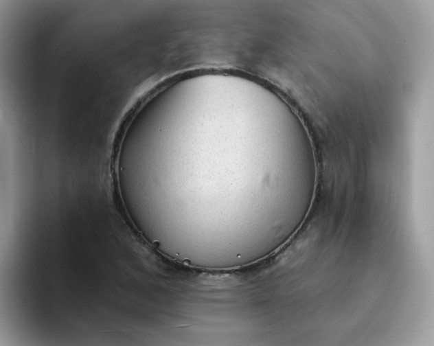 X0000094211168200711091232