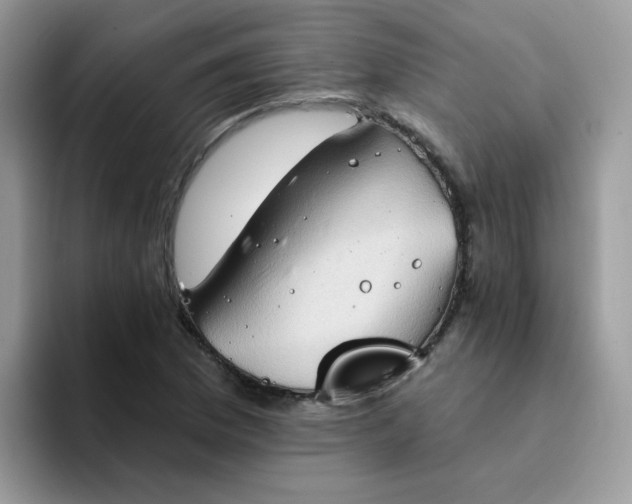 X0000094211169200711091232