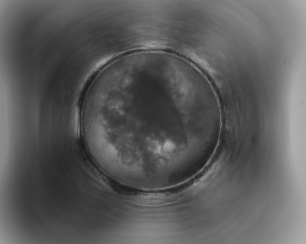 X0000094211171200711091232