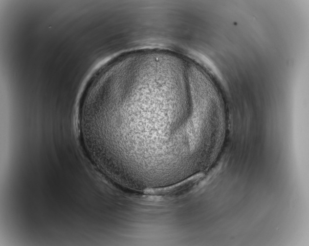 X0000094211172200711091232