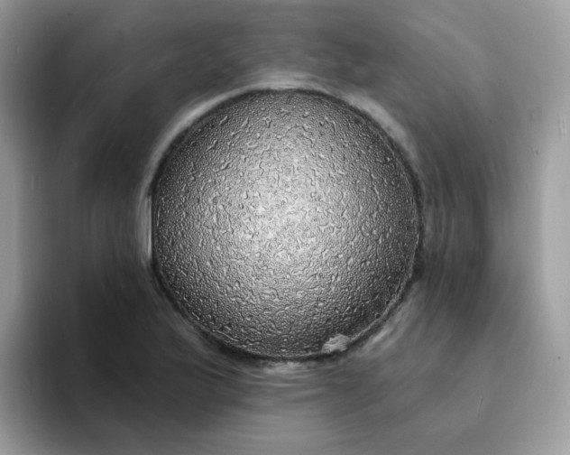 X0000094211175200711091232