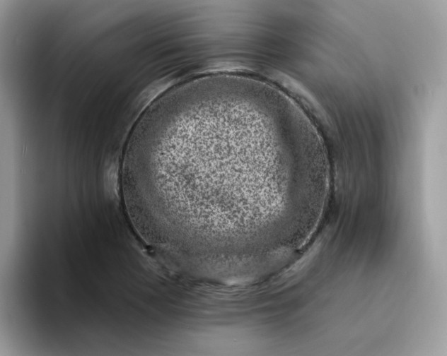 X0000094211177200711091232