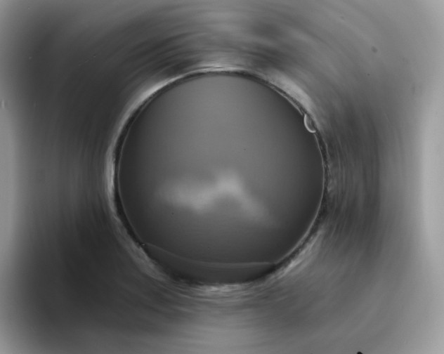 X0000094211179200711091232