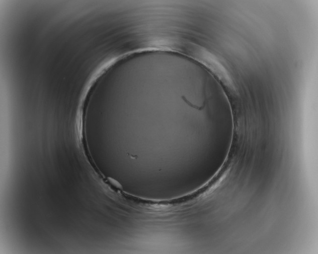 X0000094211180200711091232