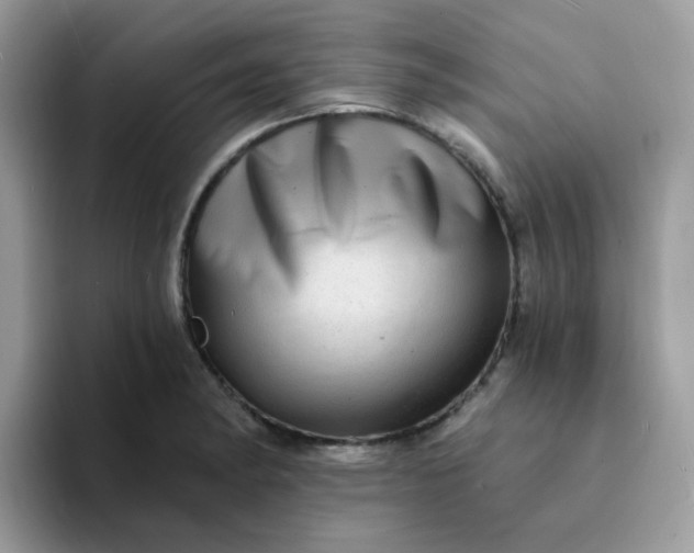 X0000094211182200711091232
