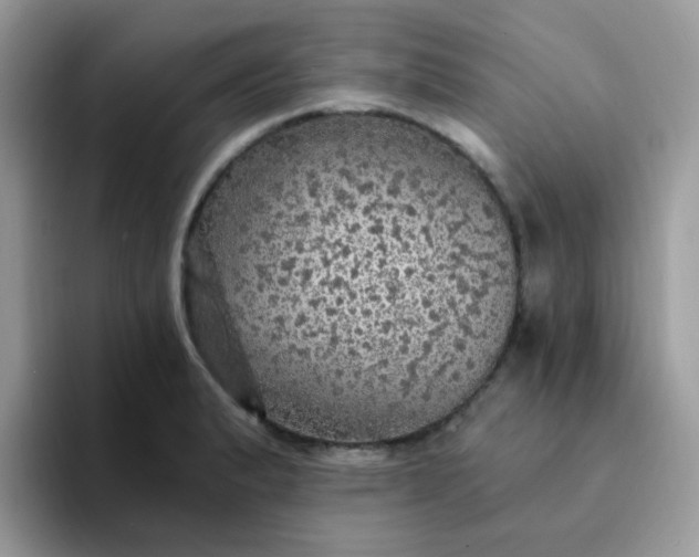 X0000094211183200711091232
