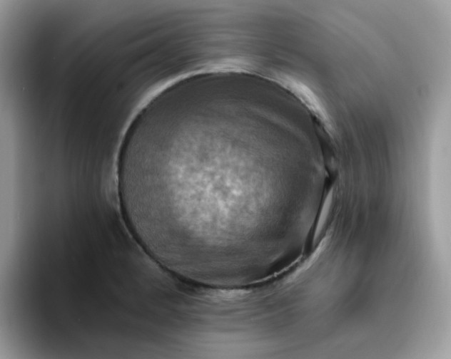X0000094211184200711091232