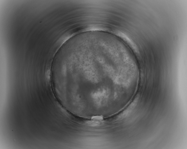 X0000094211185200711091232