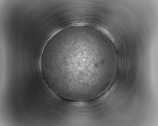 X0000094211186200711091232
