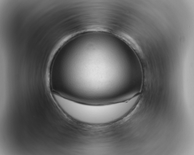 X0000094211188200711091232