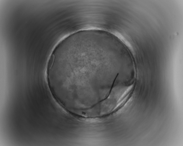 X0000094211189200711091232