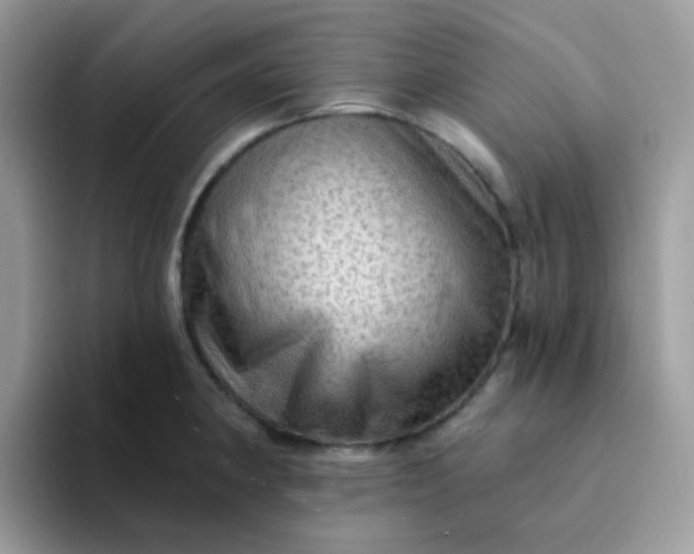 X0000094211190200711091232
