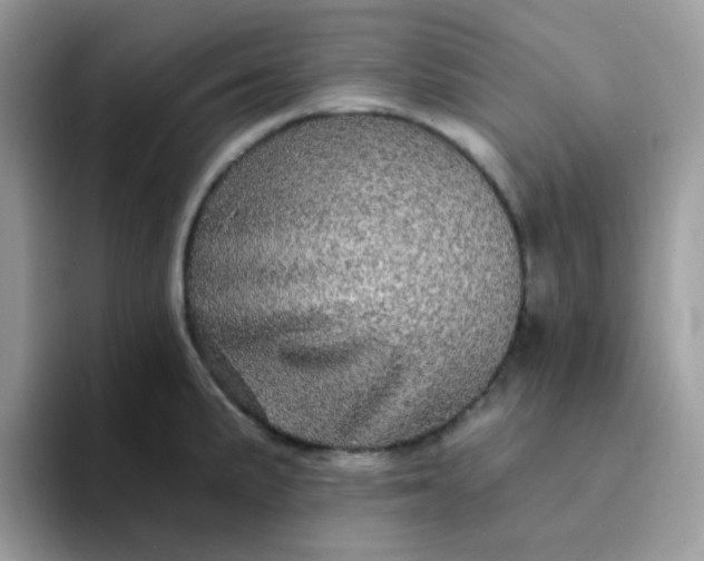 X0000094211191200711091232