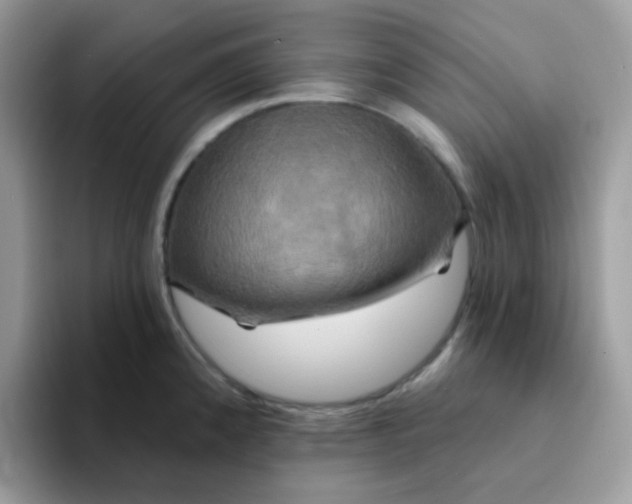 X0000094211192200711091232