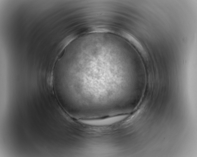X0000094211193200711091232