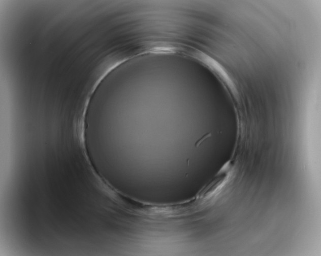 X0000094211194200711091232