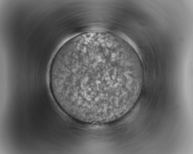 X0000094211195200711091232