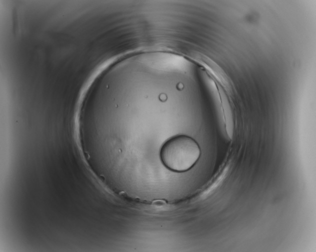 X0000094211196200711091232