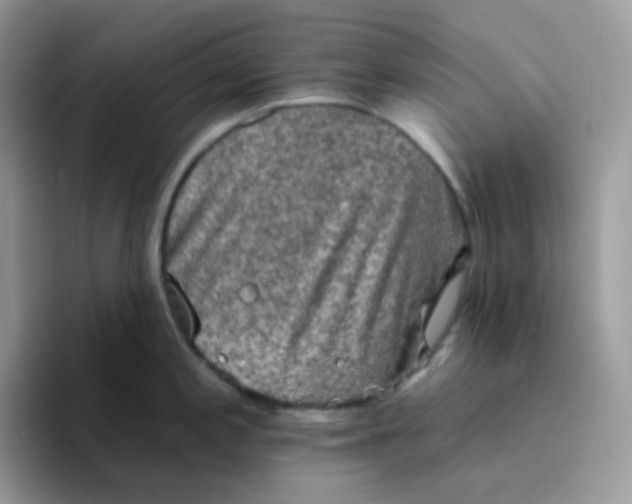 X0000094211197200711091232