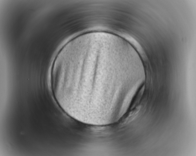 X0000094211199200711091232