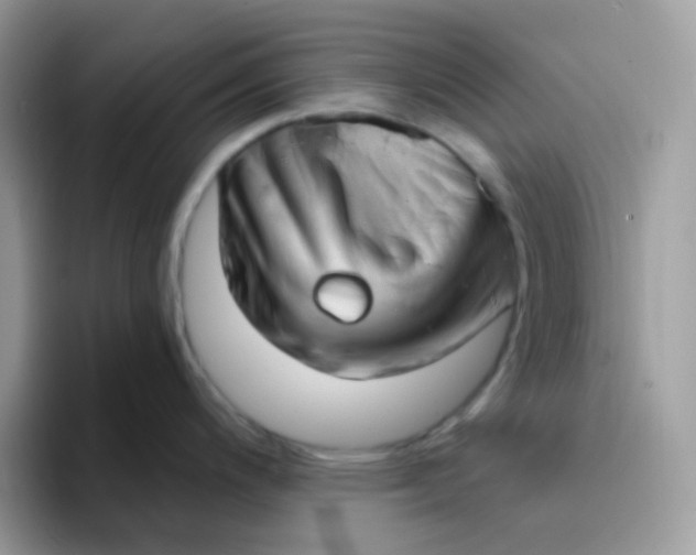 X0000094211200200711091231
