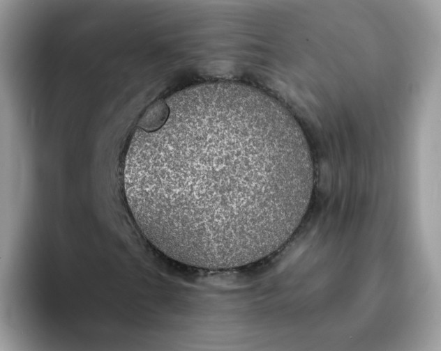 X0000094211201200711091231