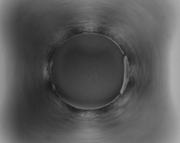 X0000094211202200711091231