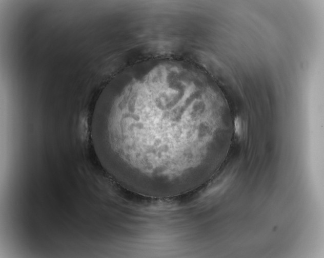 X0000094211203200711091231