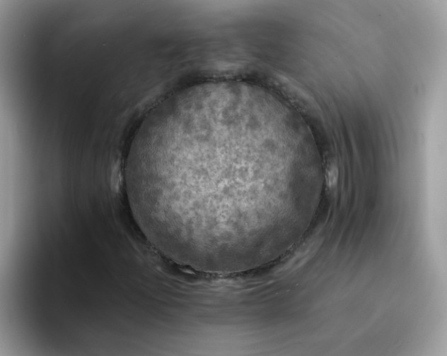 X0000094211204200711091231