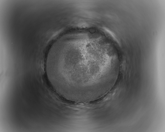 X0000094211205200711091231