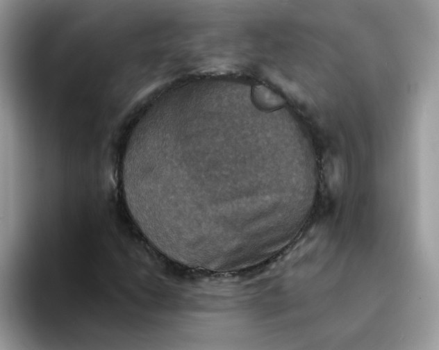 X0000094211206200711091231