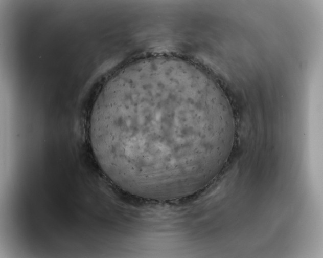 X0000094211207200711091231