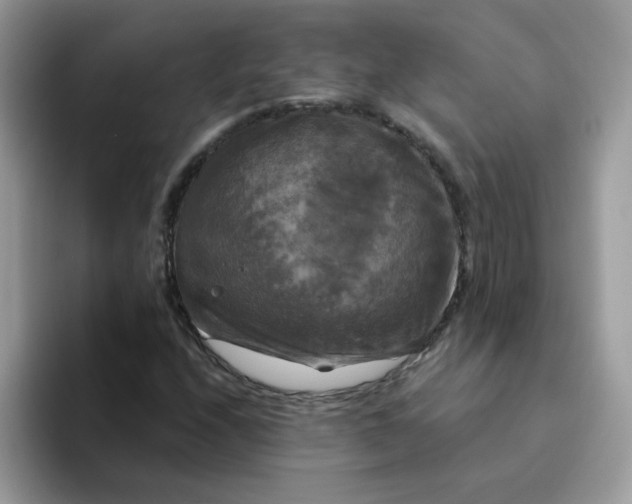 X0000094211208200711091231