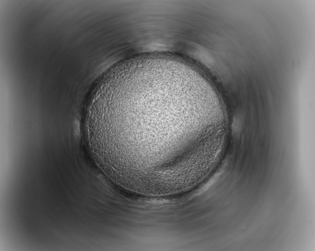 X0000094211209200711091231