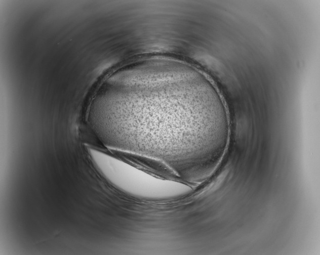 X0000094211210200711091231
