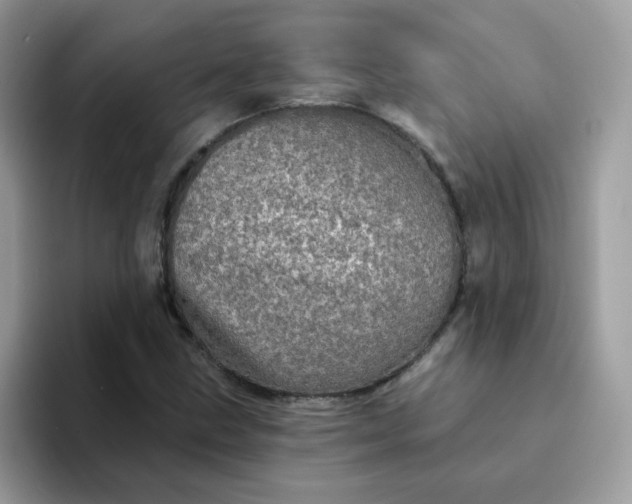 X0000094211211200711091231