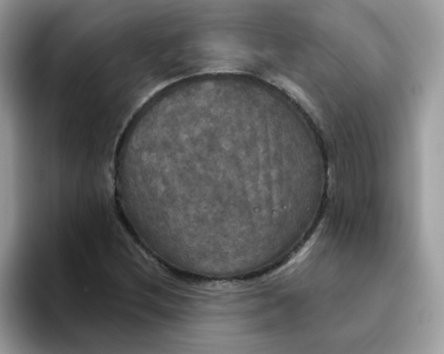 X0000094211212200711091231